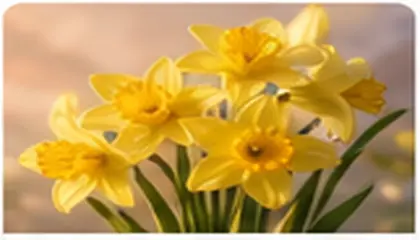 Renewing Faith After Easter Sunday